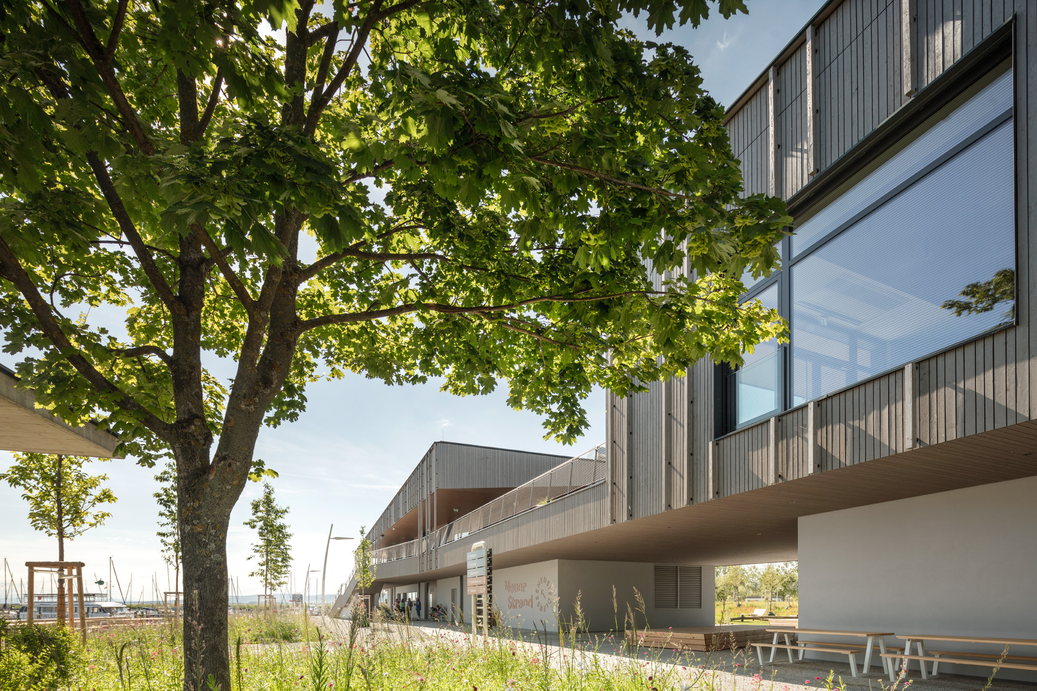 Moderner, zweigeschossiger Holzbau Neuer strand mit großen Glasflächen und vertikaler Fassadenstruktur, umgeben von einer naturnah gestalteten Gartenanlage mit Sitzbank und schattenspendendem Baum. Die Architektur kombiniert klare Linien mit nachhaltiger Begrünung.